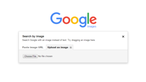 reverse image search