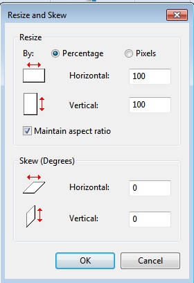 how to make a picture smaller in paint