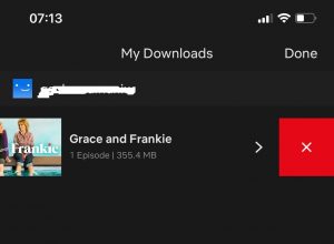 Delete Downloaded Netflix Shows