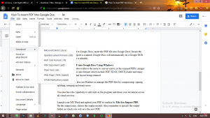 how to insert pdf into google docs