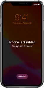 how to reset an ipad without the passcode