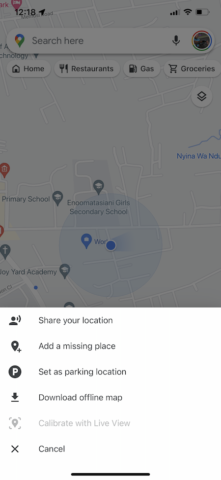 drop a live pin location in google maps
