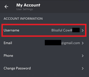 How to Change Username on Discord