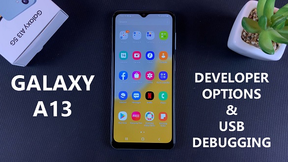 How to Enable Developer Options Samsung Galaxy A13