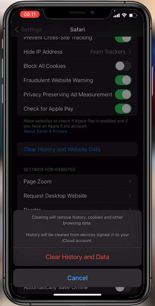How To Delete Safari Browser History on iPhone