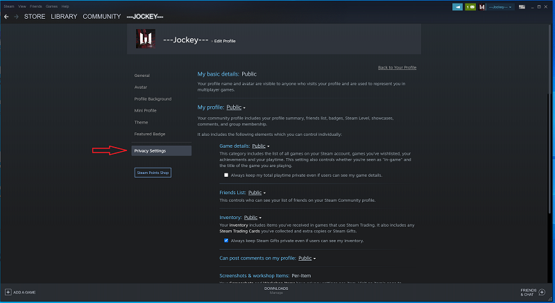 How To Make Steam Profile Private or Public