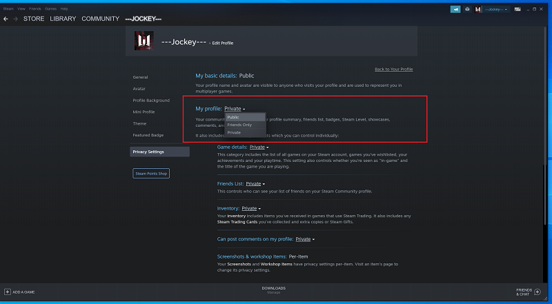 How To Make Steam Profile Private or Public