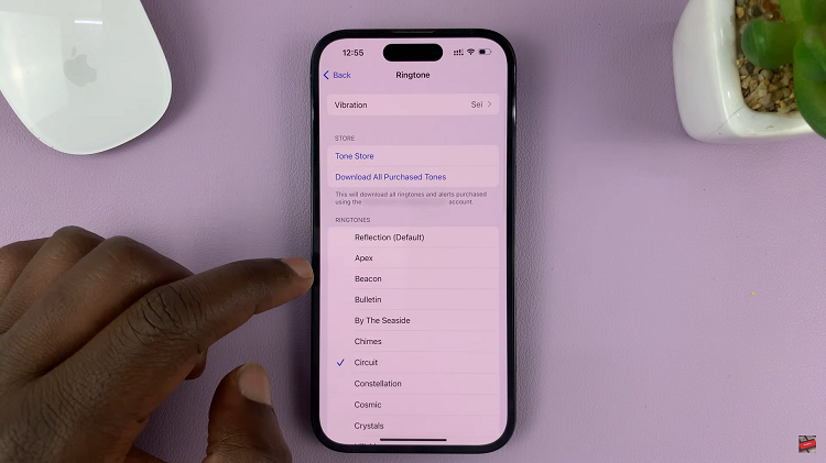 How to Enable Vibrate On Ring On iPhone