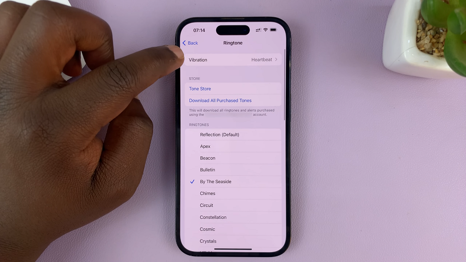 Disable 'Vibrate On Ring' On iPhone
