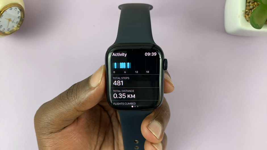 View Steps On your Apple Watch Activity App