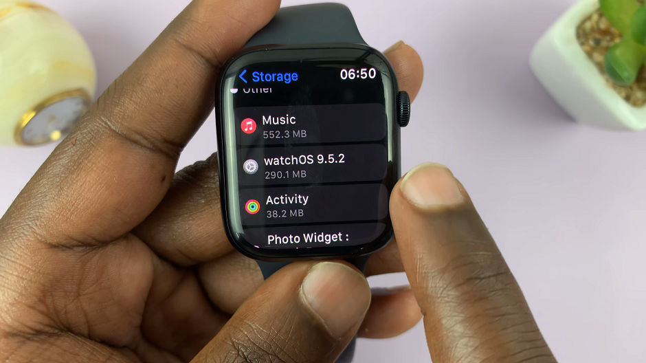 Storage Space Breakdown On Apple Watch