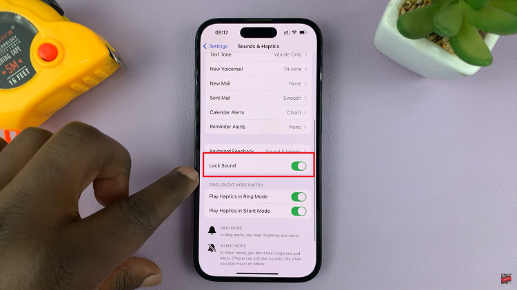 Enable & Disable Lock Screen Sounds On iPhone