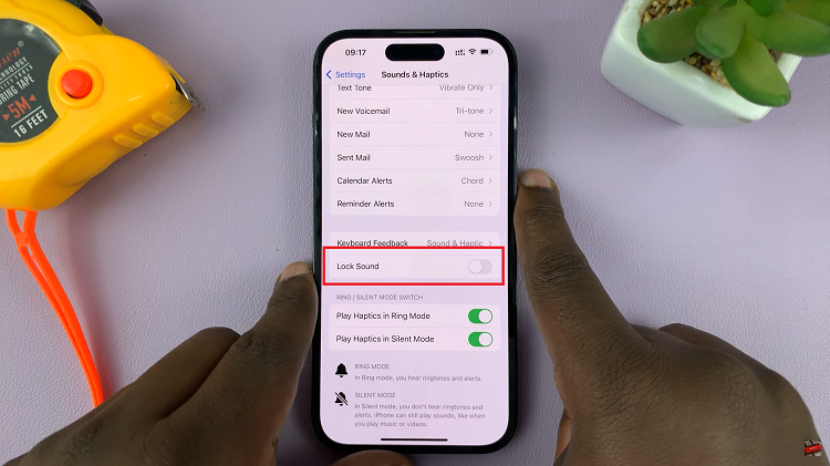 How To Enable & Disable Lock Screen Sounds On iPhone How To Enable & Disable Lock Screen Sounds On iPhone