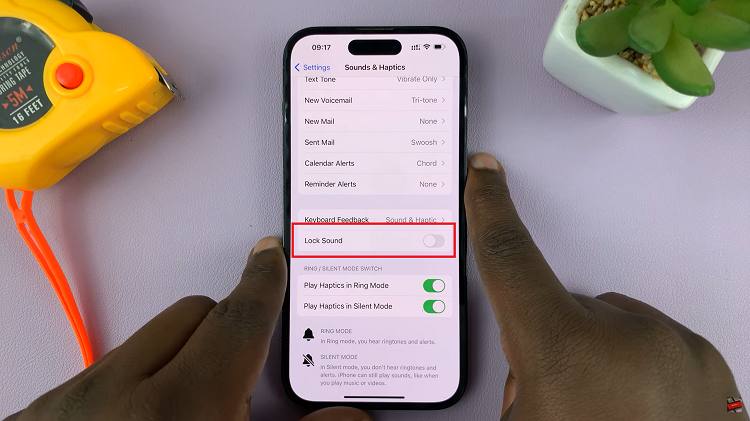  Enable & Disable Lock Screen Sounds On iPhone