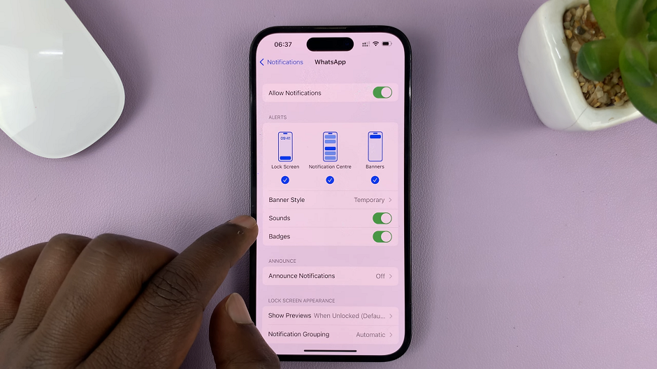 Disable WhatsApp Notification Sounds On iPhone