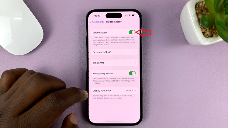 How To Disable Touch Screen On iPhone