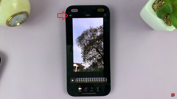 How To Remove Sound From Video On iPhone
