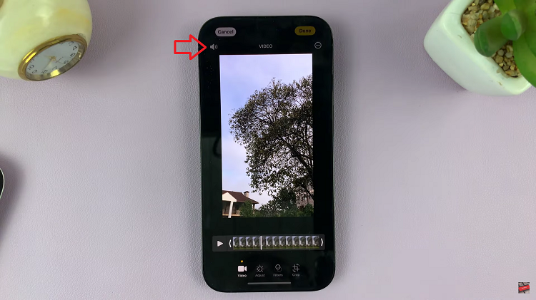 How To Remove Sound From Video On iPhone