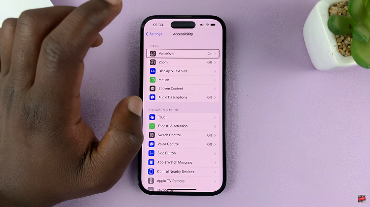 How To Turn On Voice Over Mode On iPhone