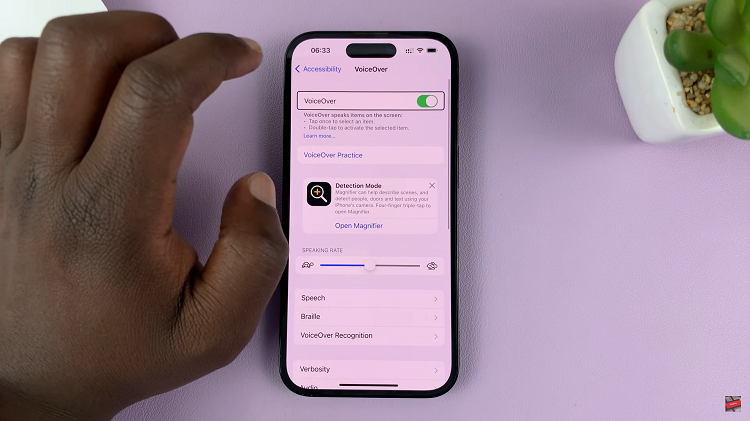 How To Turn On Voice Over Mode On iPhone
