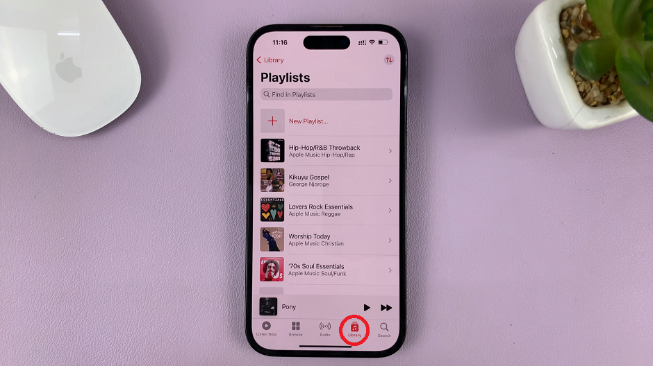 Download ALL Songs In Apple Music Playlist For Offline Listening