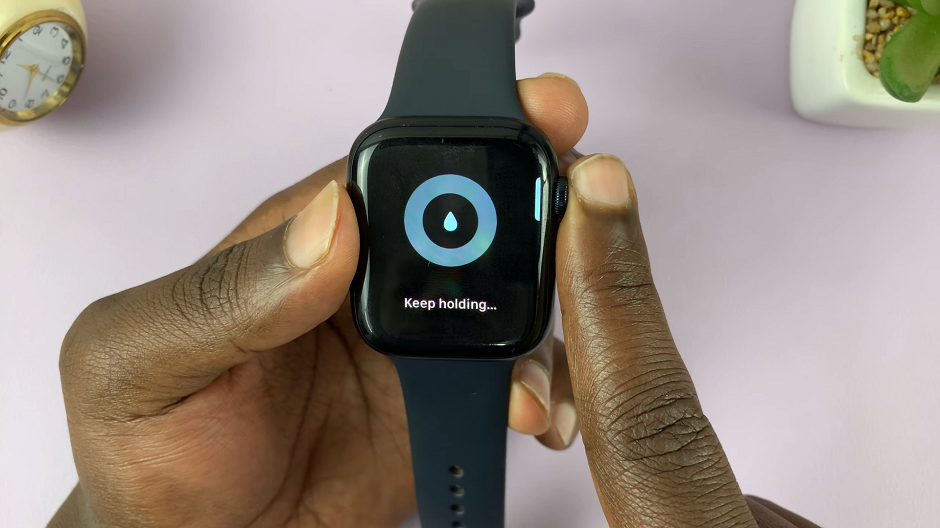 Enable Touch Screen On Apple Watch