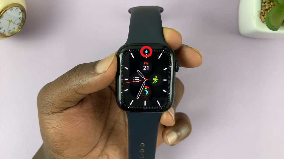 How To Disable Touch Screen On Apple Watch