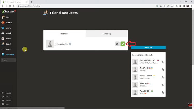 Accept Friend Requests on Chess.com