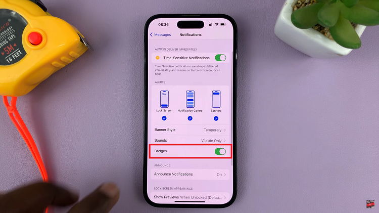 Enable & Disable Message Notification Badges On iPhone