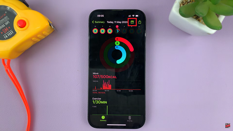 See Fitness Activity History On iPhone