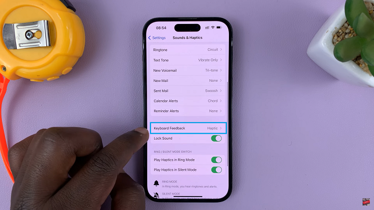 Enable Keyboard Sounds On iPhone