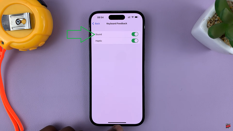 Enable Keyboard Sounds On iPhone
