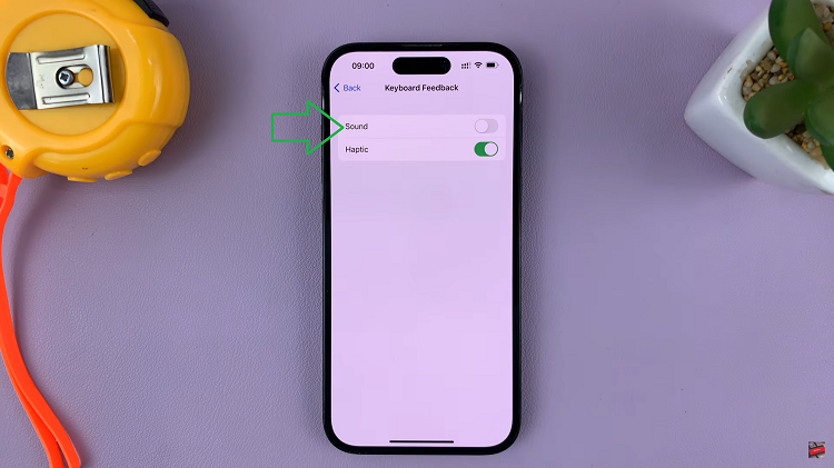 Mute Keyboard Sounds On iPhone
