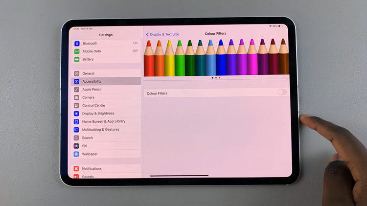 Disable Color Filters On Display Of iPad