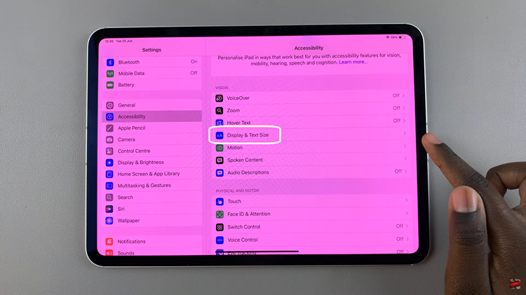 Disable Color Filters On Display Of iPad