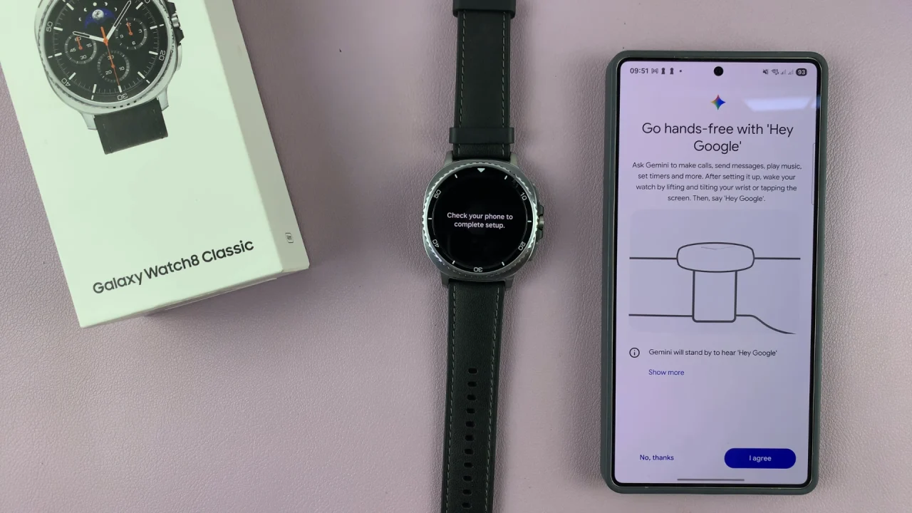 Hey Google Gemini Set Up