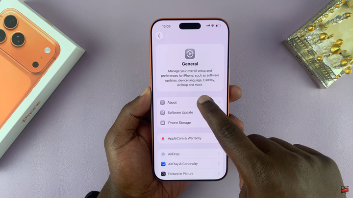 How To Check Model Number On iPhone 17 / 17 Pro