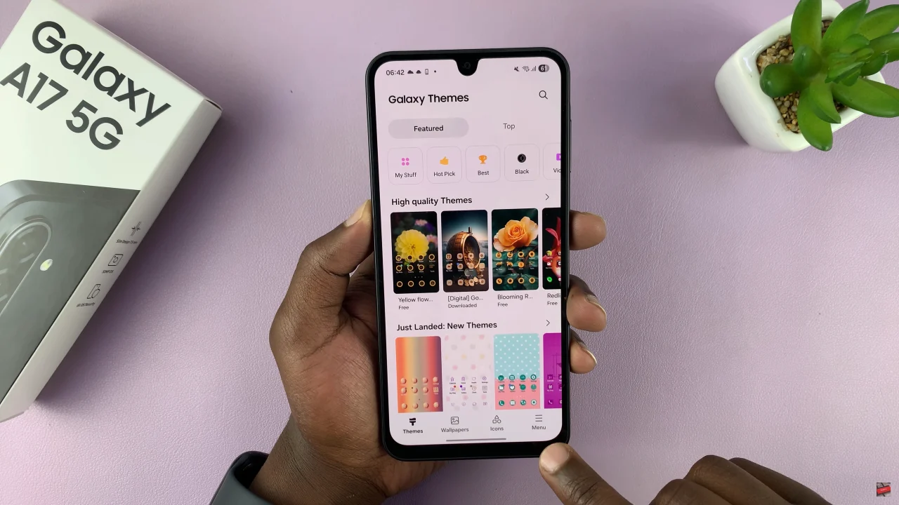 How To Delete Downloaded Themes On Samsung Galaxy A17 5G