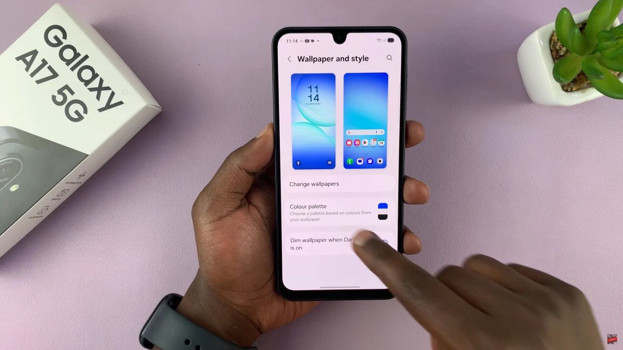 How To Enable Color Palette On Samsung Galaxy A17 5G