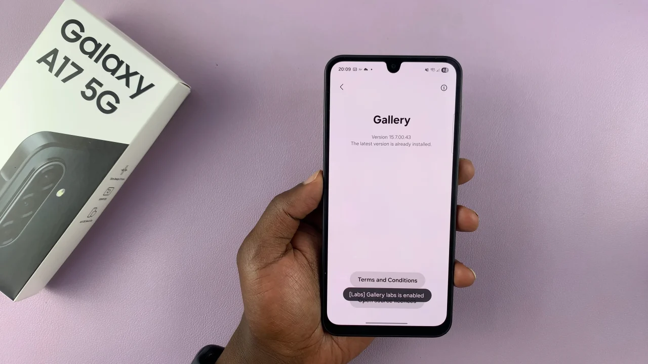 How To Enable Gallery Labs On Samsung Galaxy A17 5G
