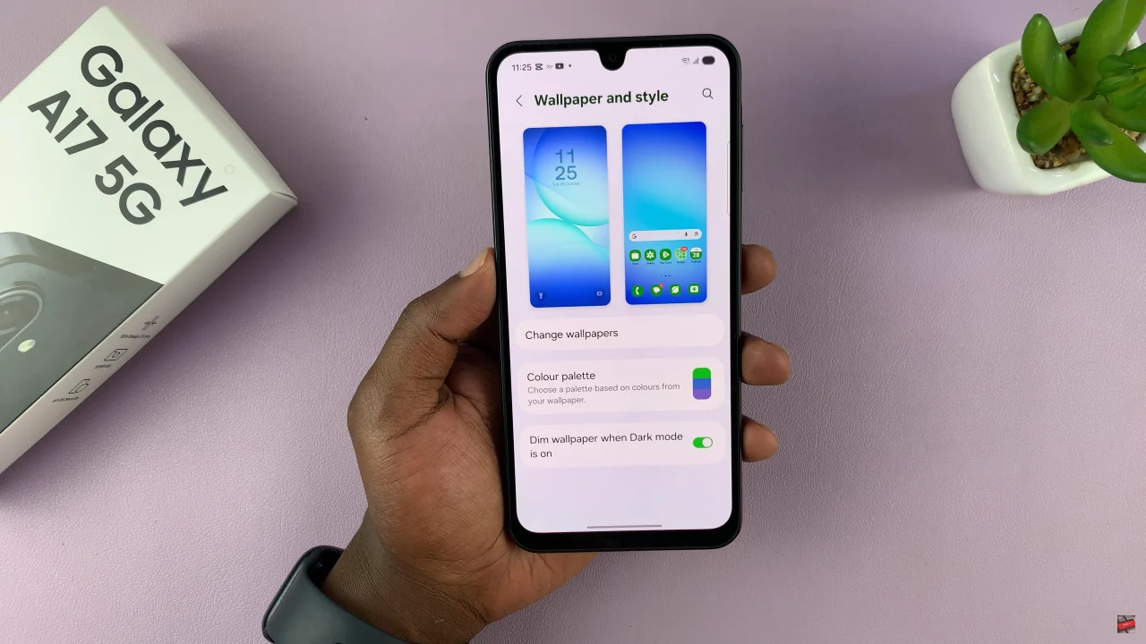 How To Restore Original Icon Colors On Samsung Galaxy A17 5G