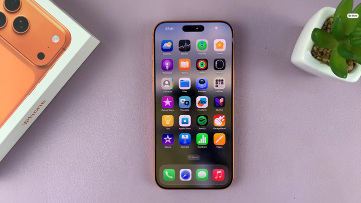 How To Enable App Icon Names On iPhone 17 & 17 Pro