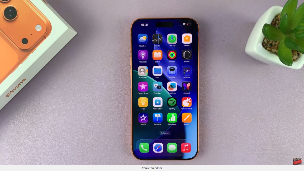 Revert Icons To Their Original Colors In iPhone 17 Pro