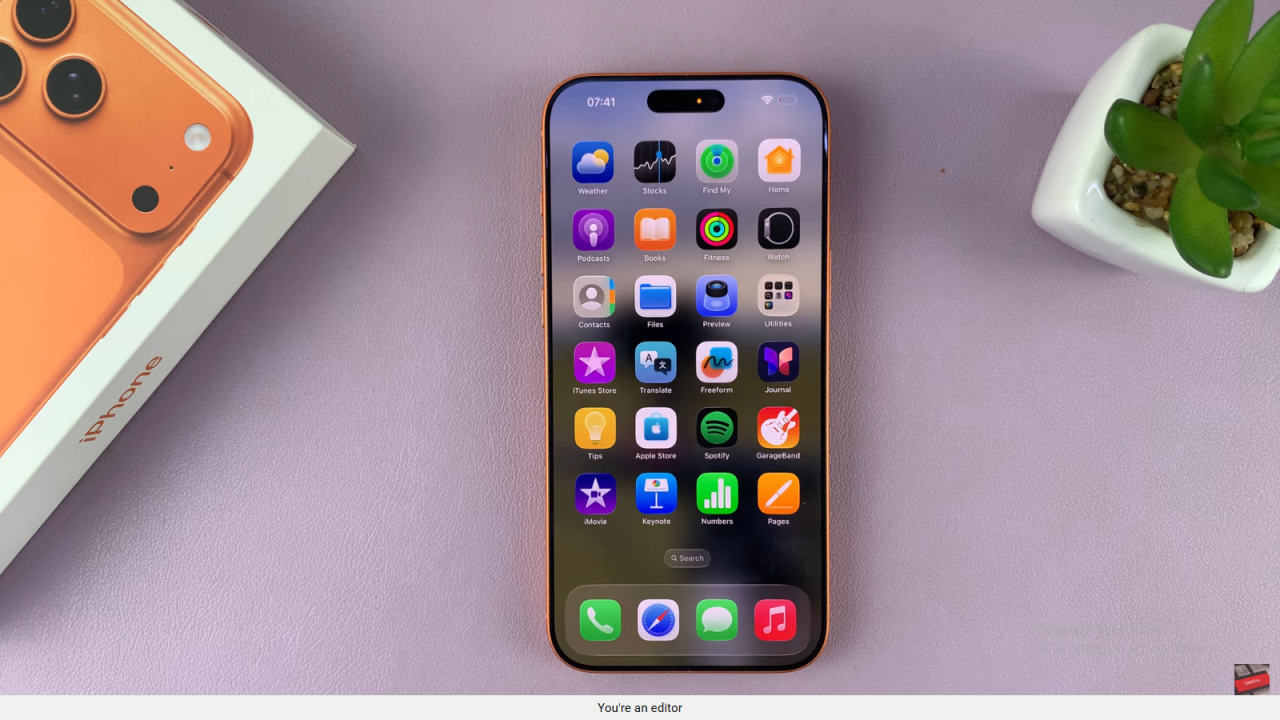 Enable App Icon Names On iPhone 17 / 17 Pro